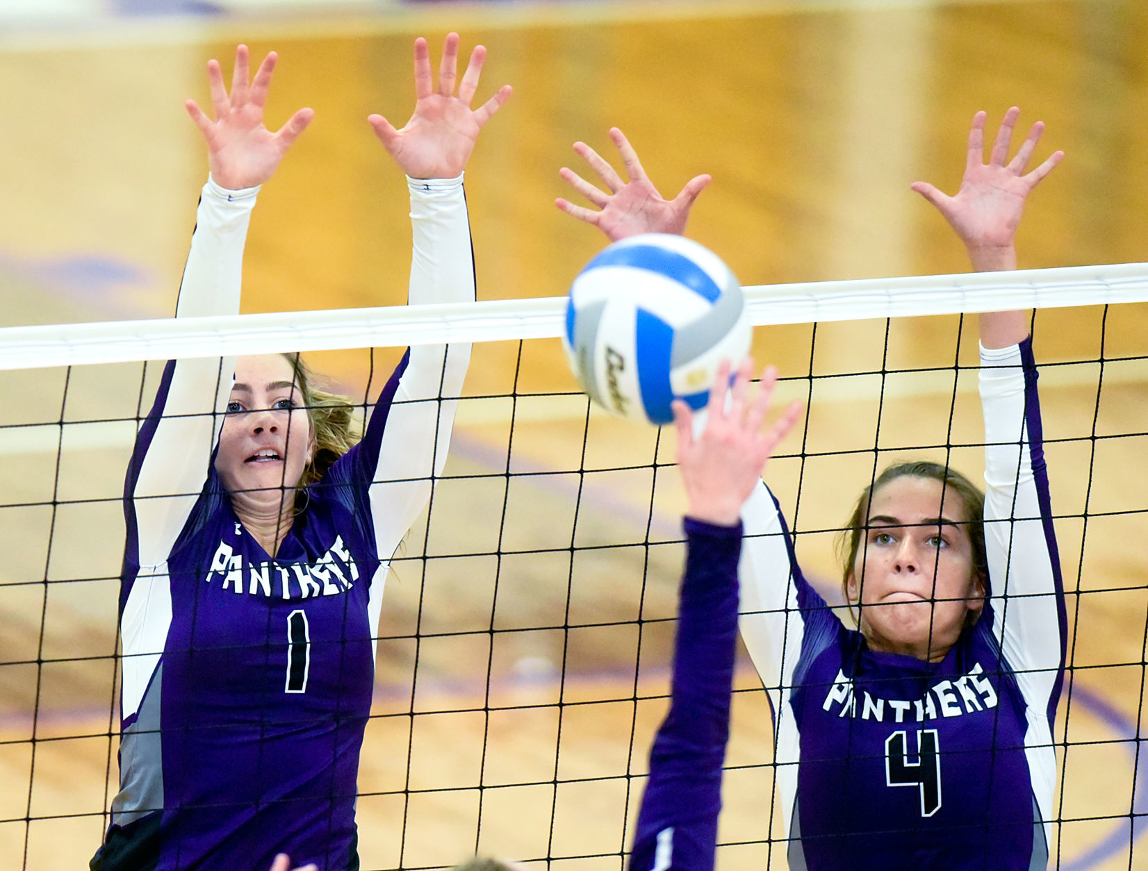 Volleyball Dakota Valley vs. Beresford